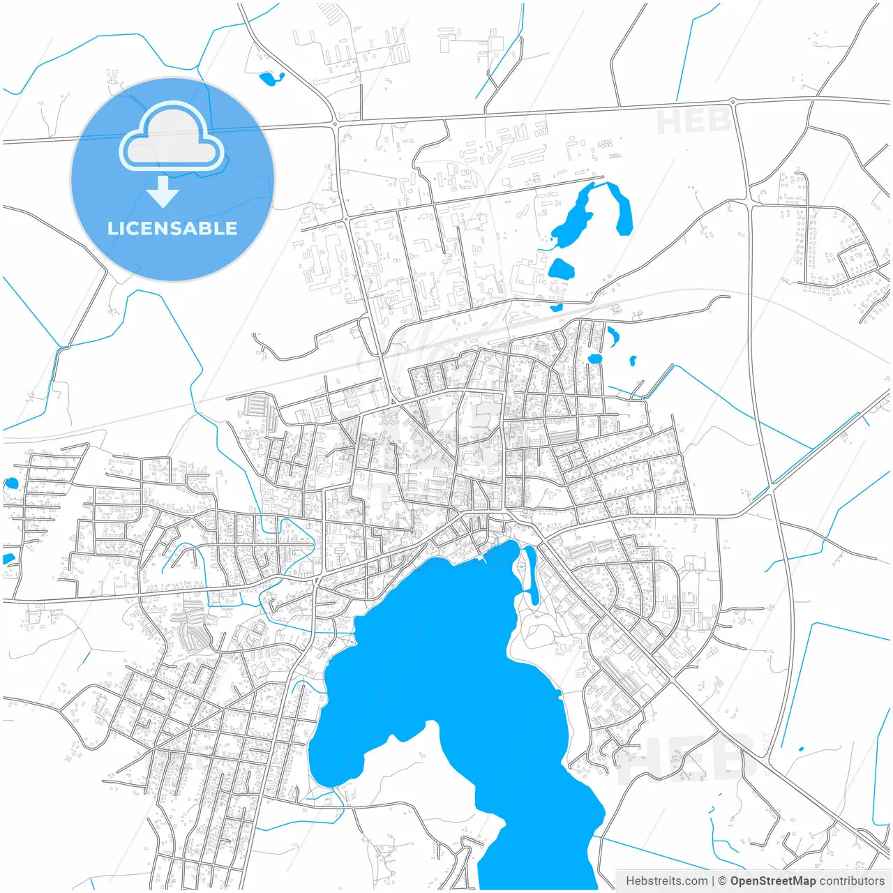 Telšiai, Telšiai County, Lithuania, city map with high resolution roads.