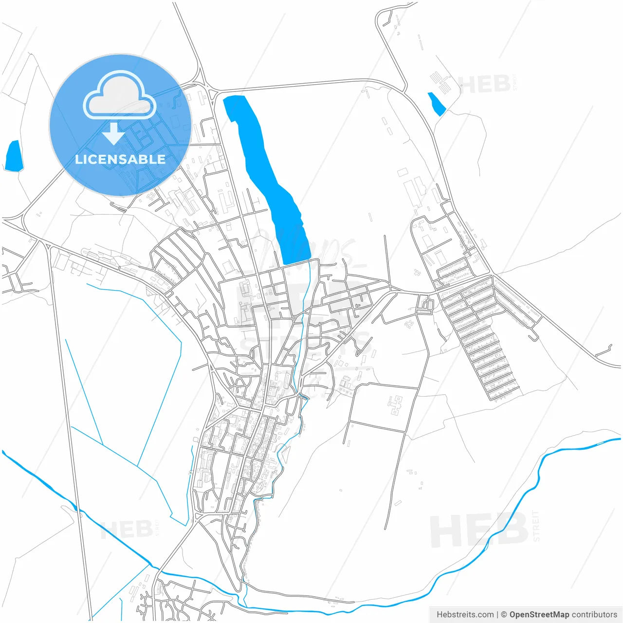 Orhei, Orhei district, Moldova, city map with high resolution roads.