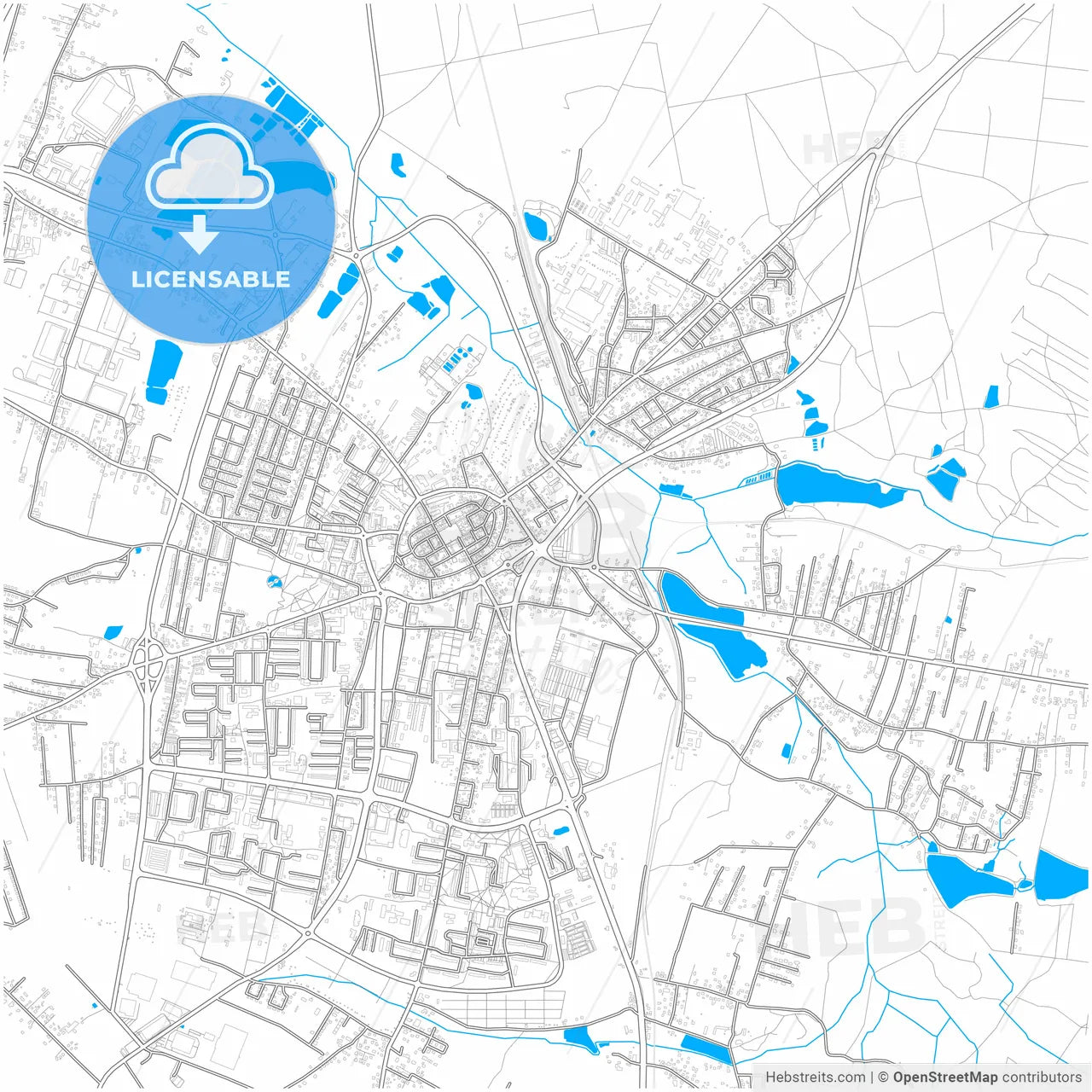 Żory, Silesian, Poland, city map with high resolution roads.