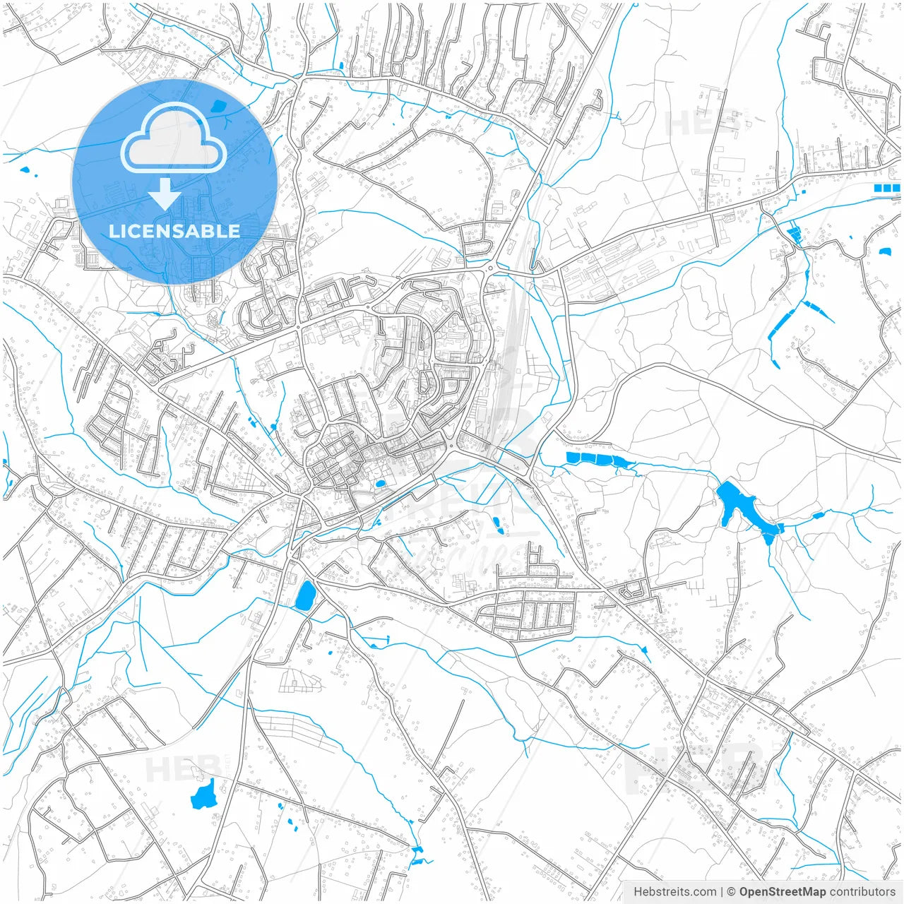 Wodzisław Śląski, Silesian, Poland, city map with high resolution roads.