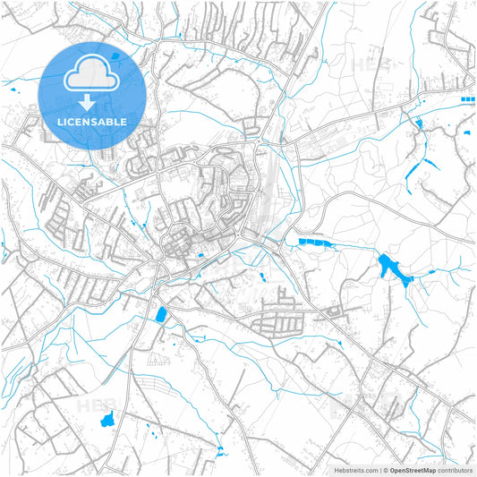 Wodzisław Śląski, Silesian, Poland, city map with high resolution roads.