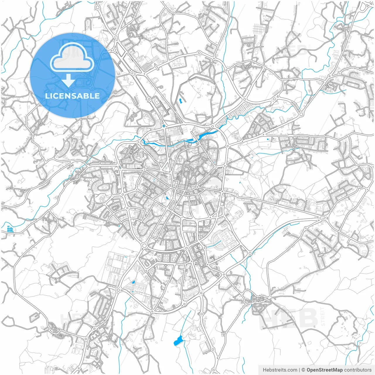 Viseu, Viseu, Portugal, city map with high resolution roads.