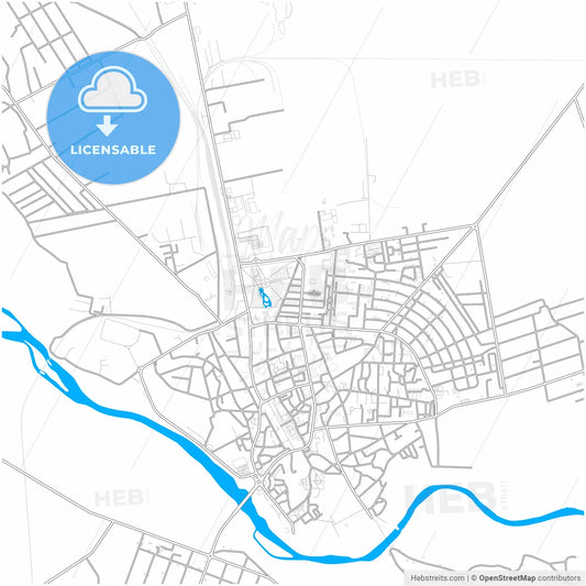 Roman, Neamț, Romania, city map with high resolution roads.