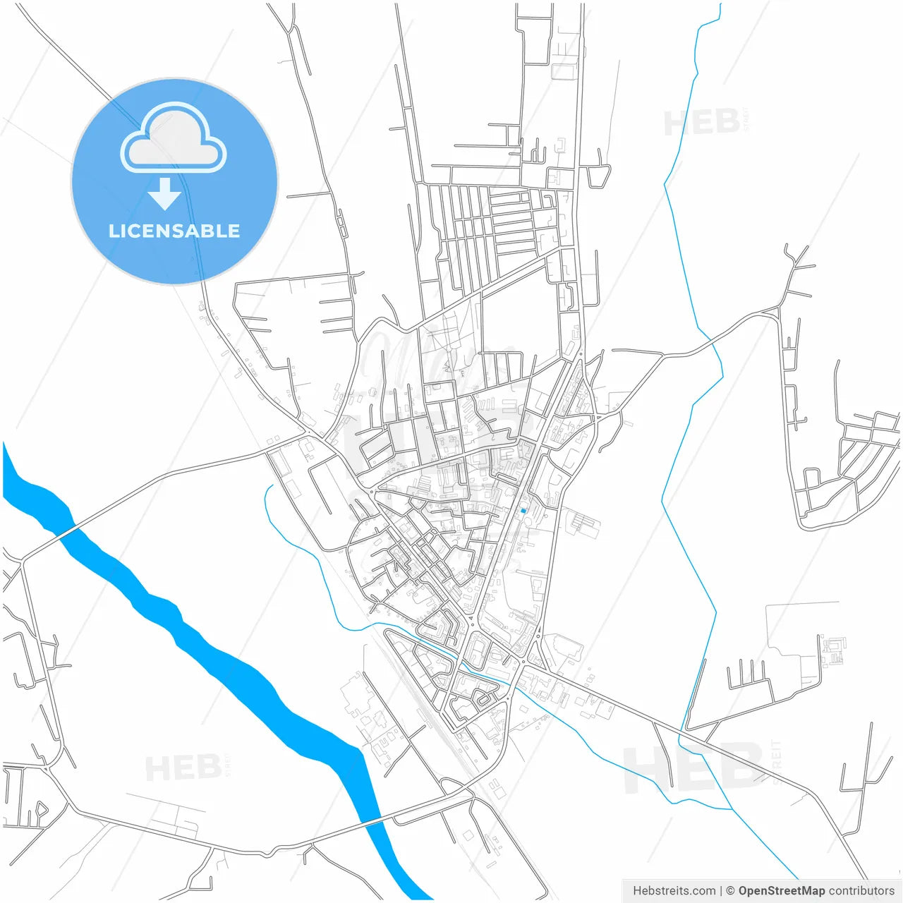 Vaslui, Vaslui, Romania, city map with high resolution roads.