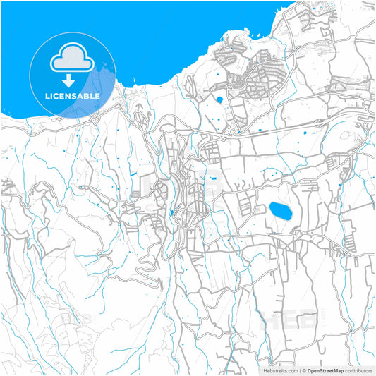 Los Realejos, Santa Cruz de Tenerife, Spain, city map with high resolution roads.