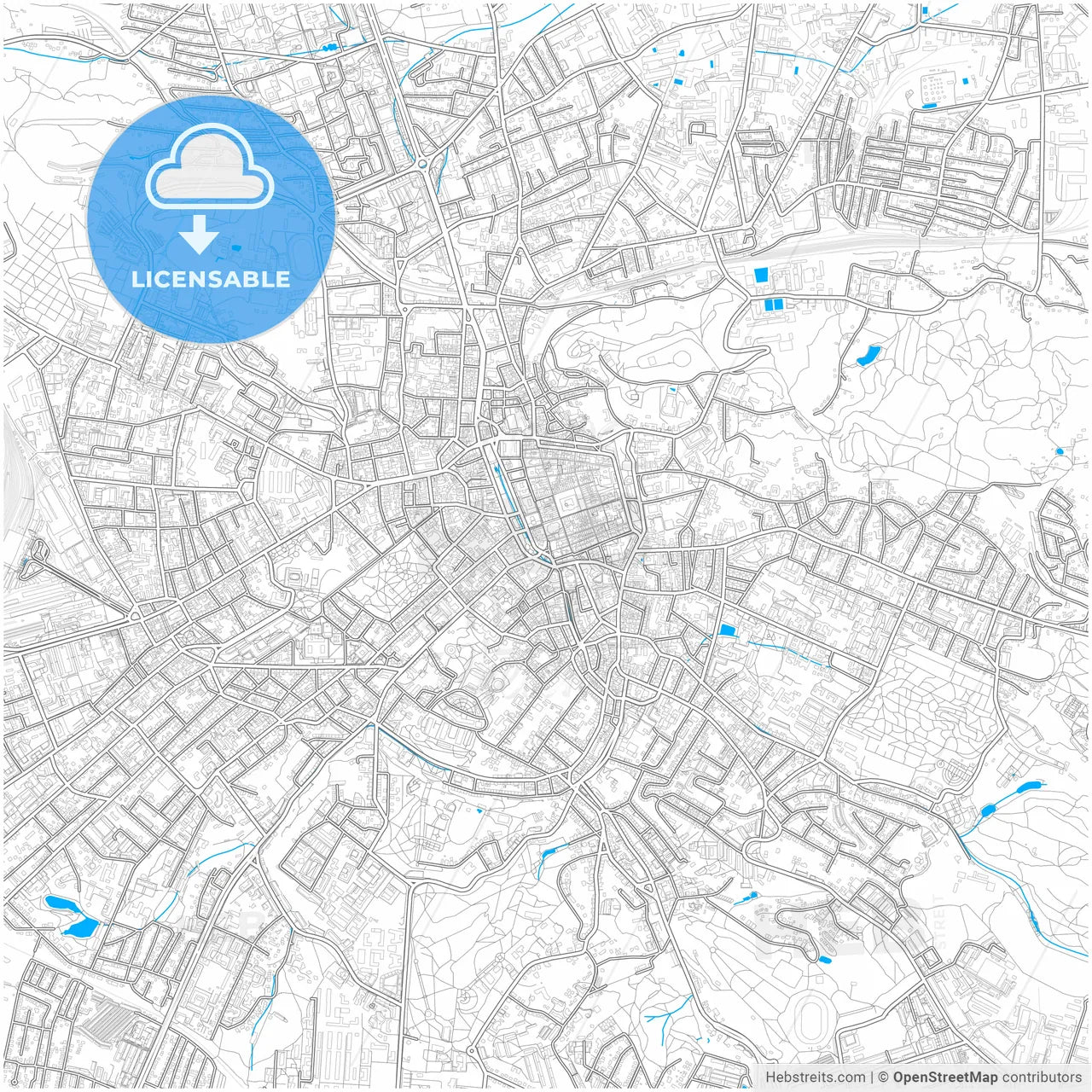 Lviv, Lviv Oblast, Ukraine, city map with high resolution roads.