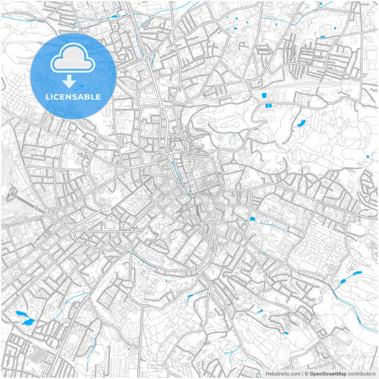 Lviv, Lviv Oblast, Ukraine, city map with high resolution roads.