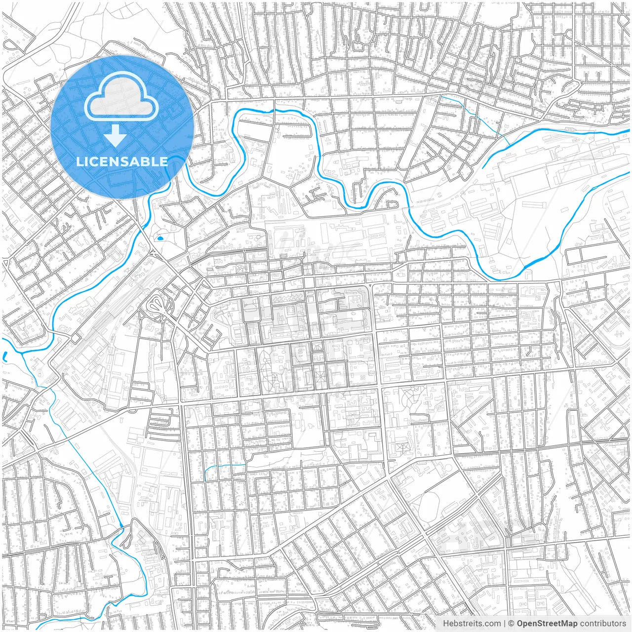 Luhansk, Luhansk Oblast, Ukraine, city map with high resolution roads.