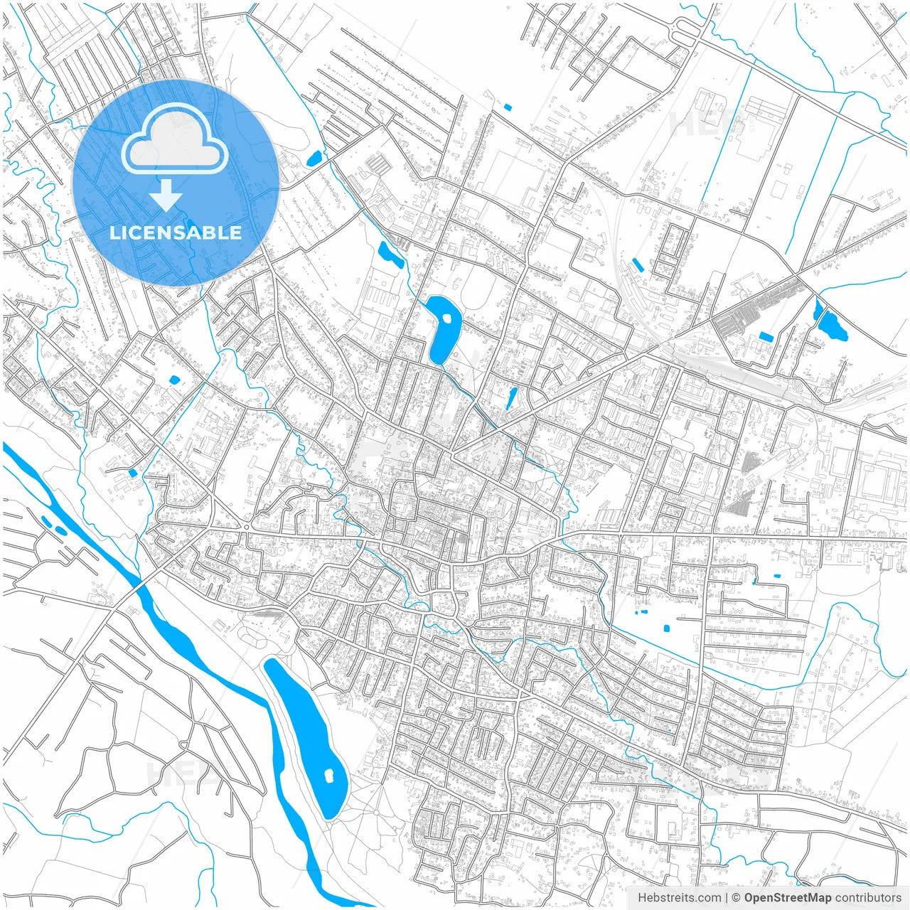 Kolomyia, Ivano-Frankivsk Oblast, Ukraine, city map with high resolution roads.