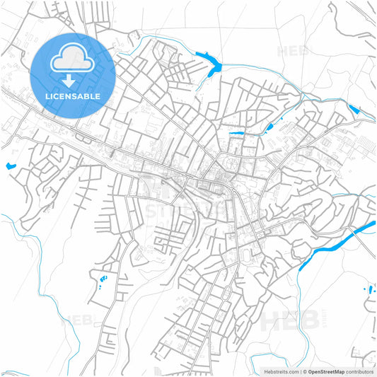 Lubny, Poltava Oblast, Ukraine, city map with high resolution roads.