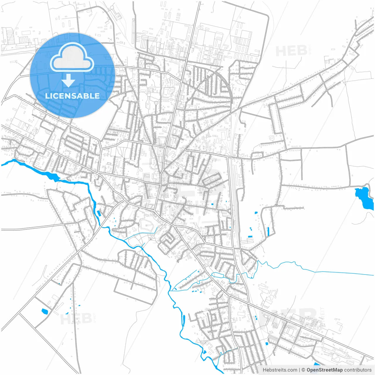 Volodymyr-Volynskyi, Volyn Oblast, Ukraine, city map with high resolution roads.