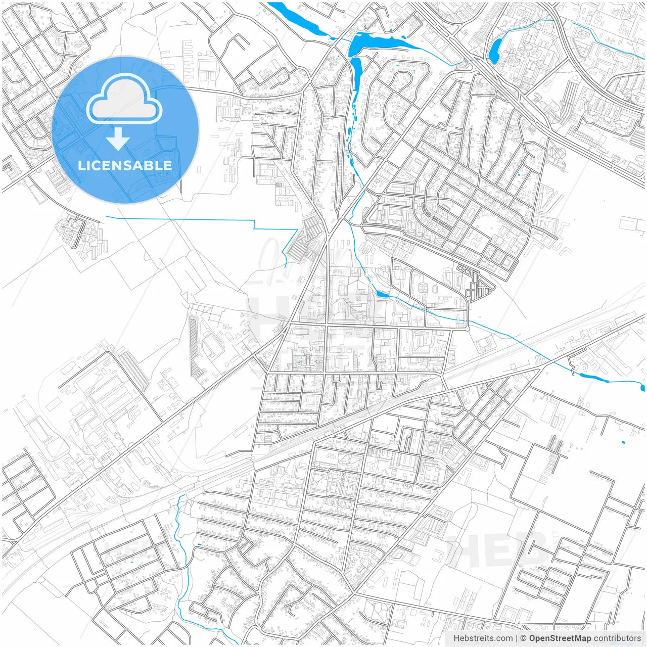 Vyshneve, Kyiv Oblast, Ukraine, city map with high resolution roads.
