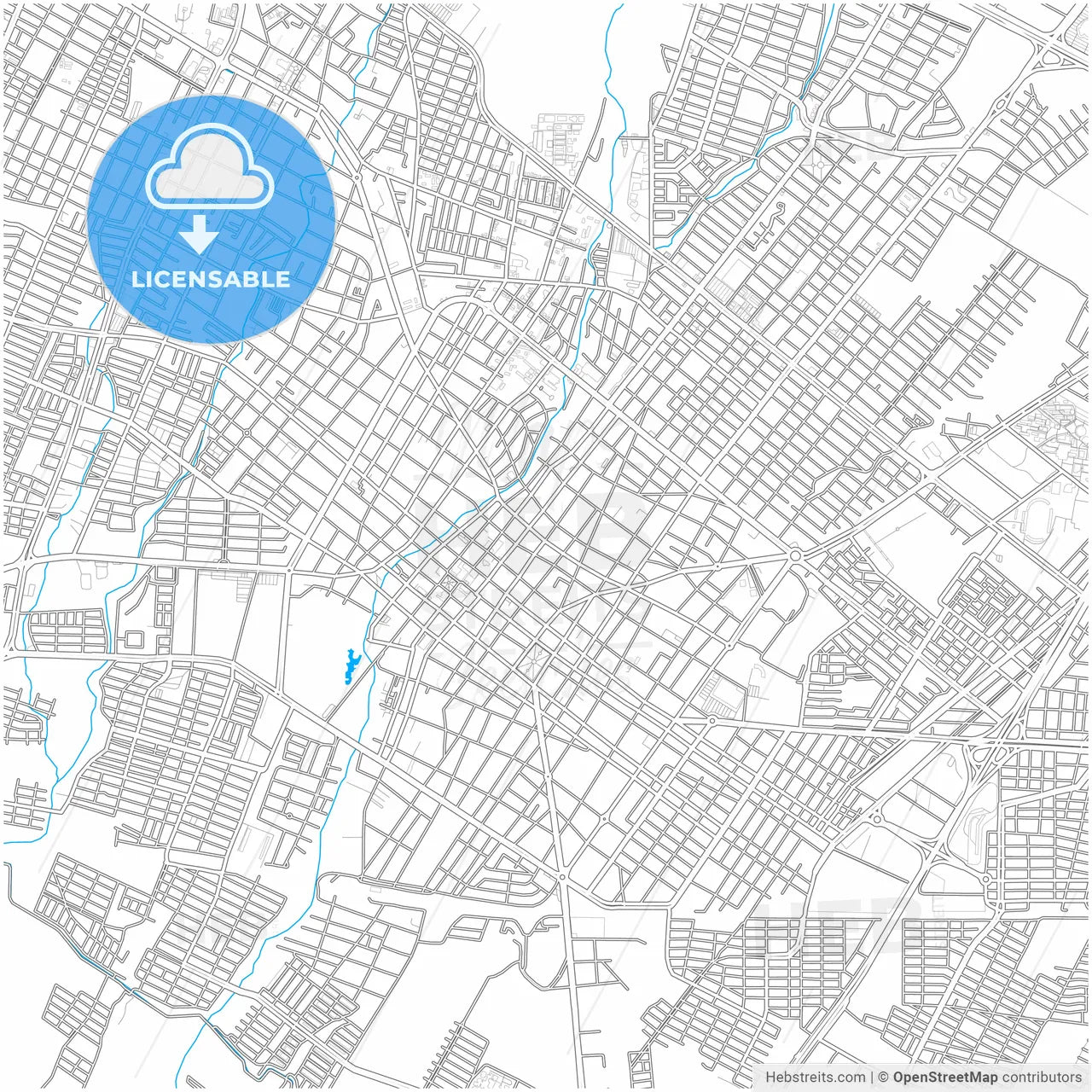 Colima, Colima, Mexico, city map with high resolution roads.