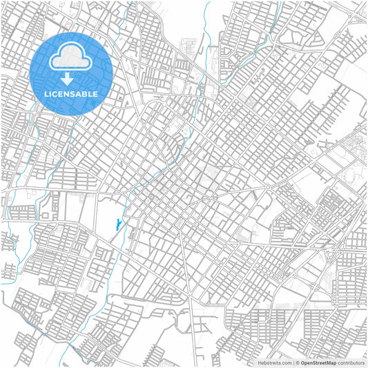 Colima, Colima, Mexico, city map with high resolution roads.