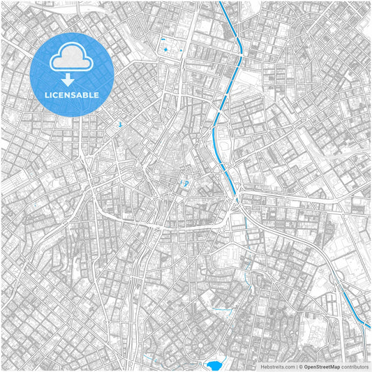 Sao Paulo, Brazil, city map with high resolution roads.
