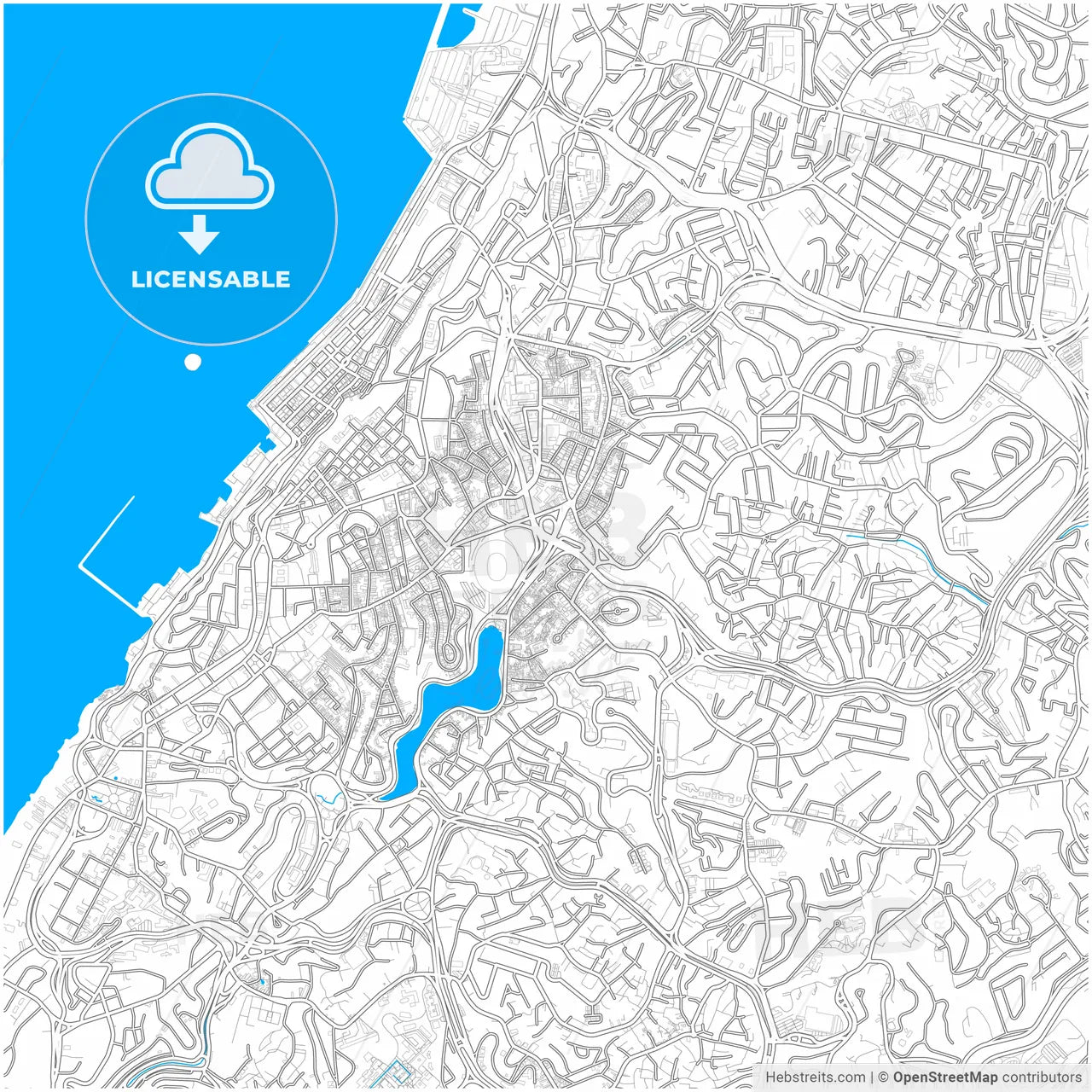 Salvador, Brazil, city map with high resolution roads.