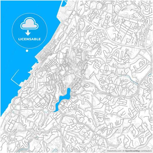 Salvador, Brazil, city map with high resolution roads.