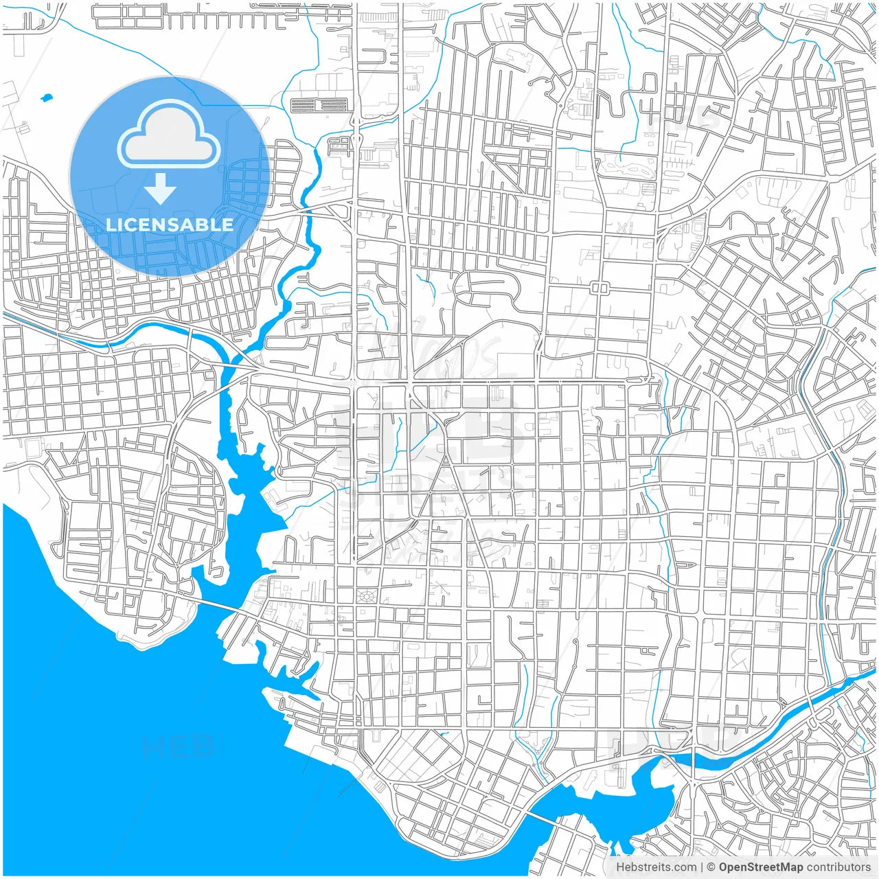 Manaus, Brazil, city map with high resolution roads.
