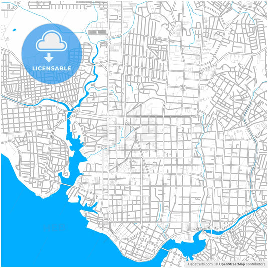 Manaus, Brazil, city map with high resolution roads.