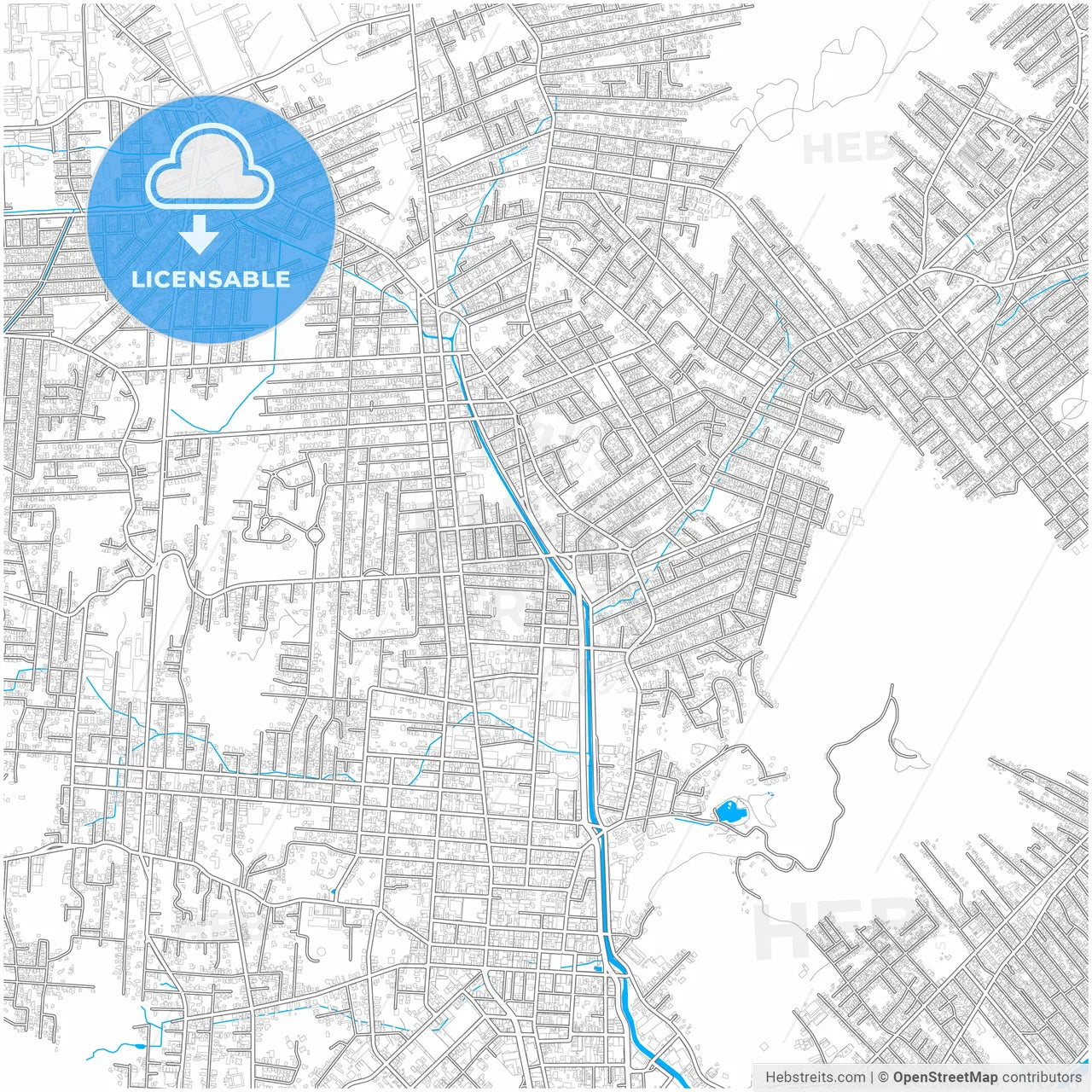 Joinville, Brazil, city map with high resolution roads.