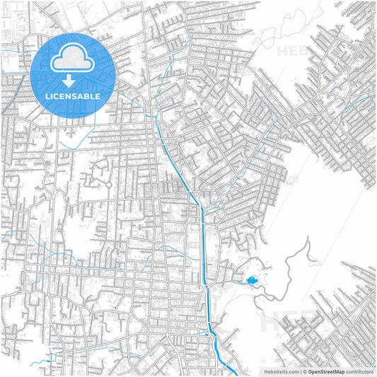 Joinville, Brazil, city map with high resolution roads.