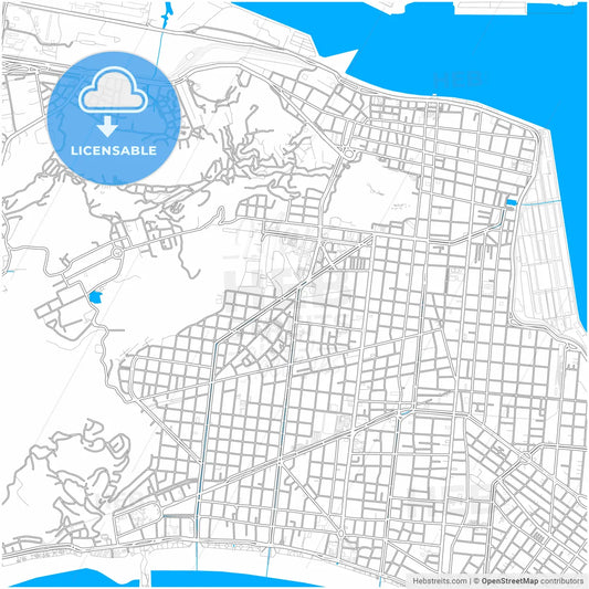 Santos, Brazil, city map with high resolution roads.