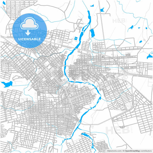 Patos, Brazil, city map with high resolution roads.
