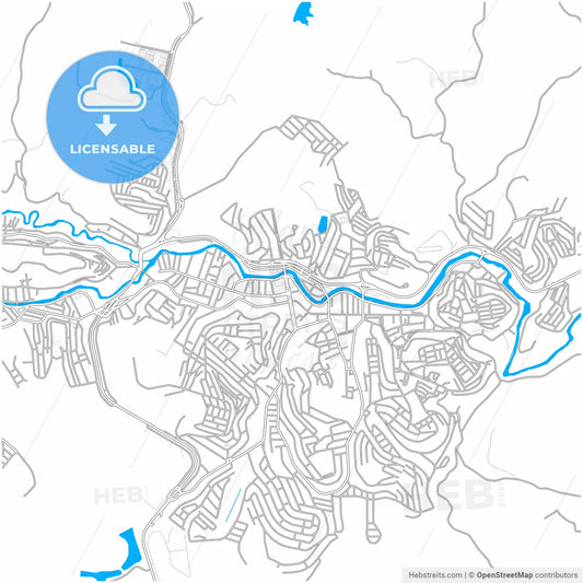 Muriae, Brazil, city map with high resolution roads.