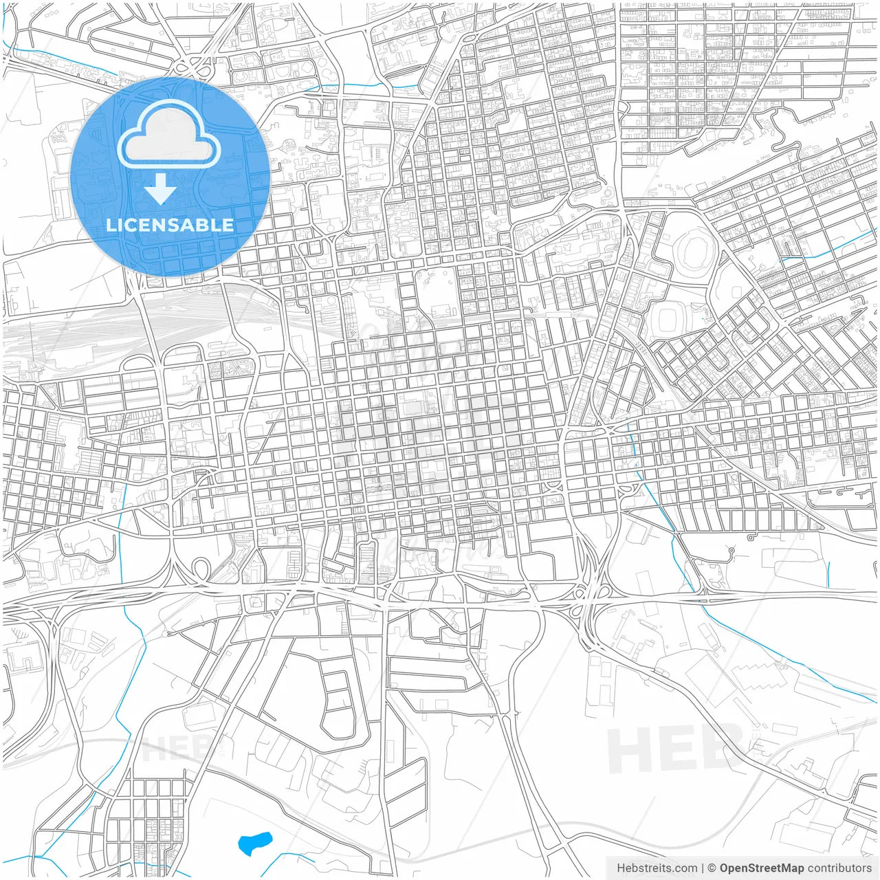 Johannesburg, South Africa, city map with high resolution roads.