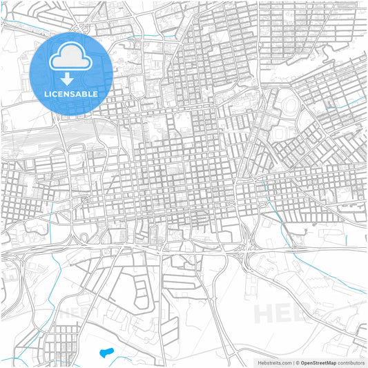 Johannesburg, South Africa, city map with high resolution roads.