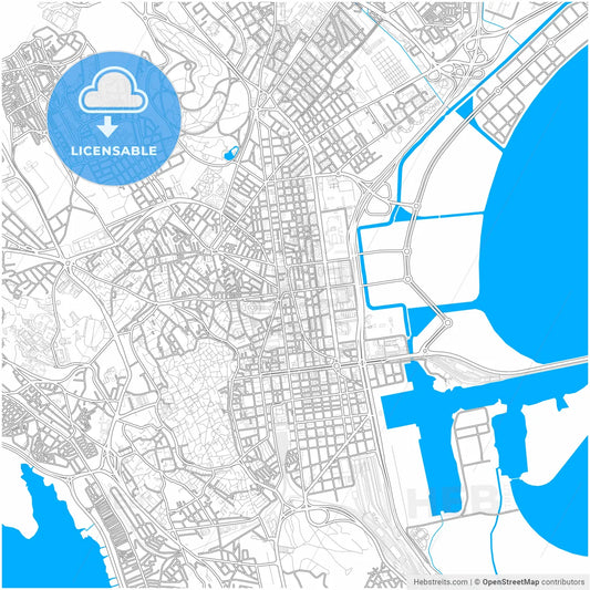 Tunis, Tunisia, city map with high resolution roads.