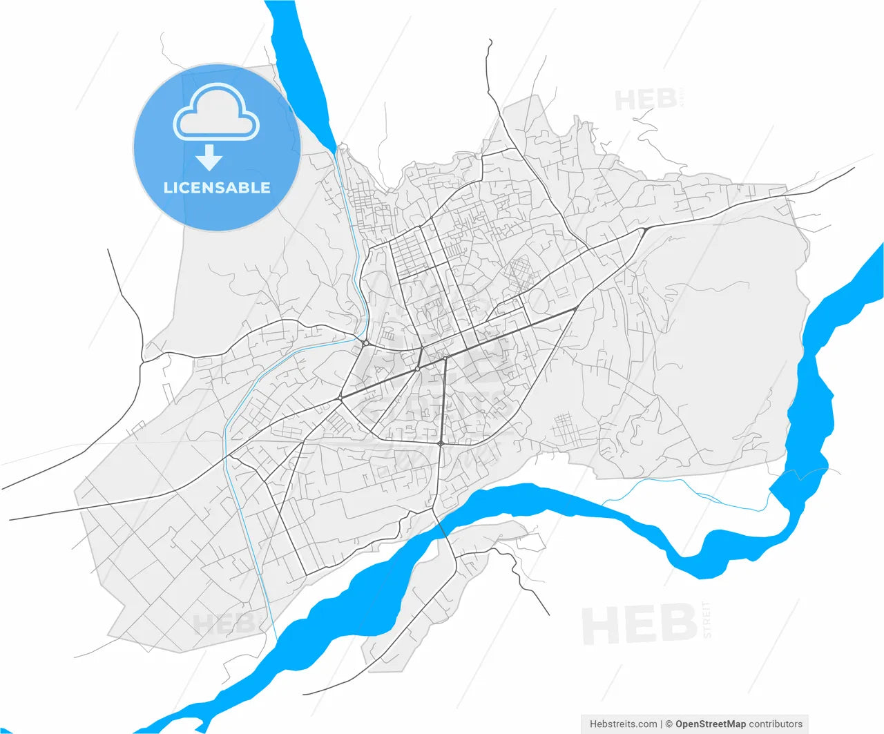 Elbasan, Albania, high resolution vector map - Instant download PDF and JPG