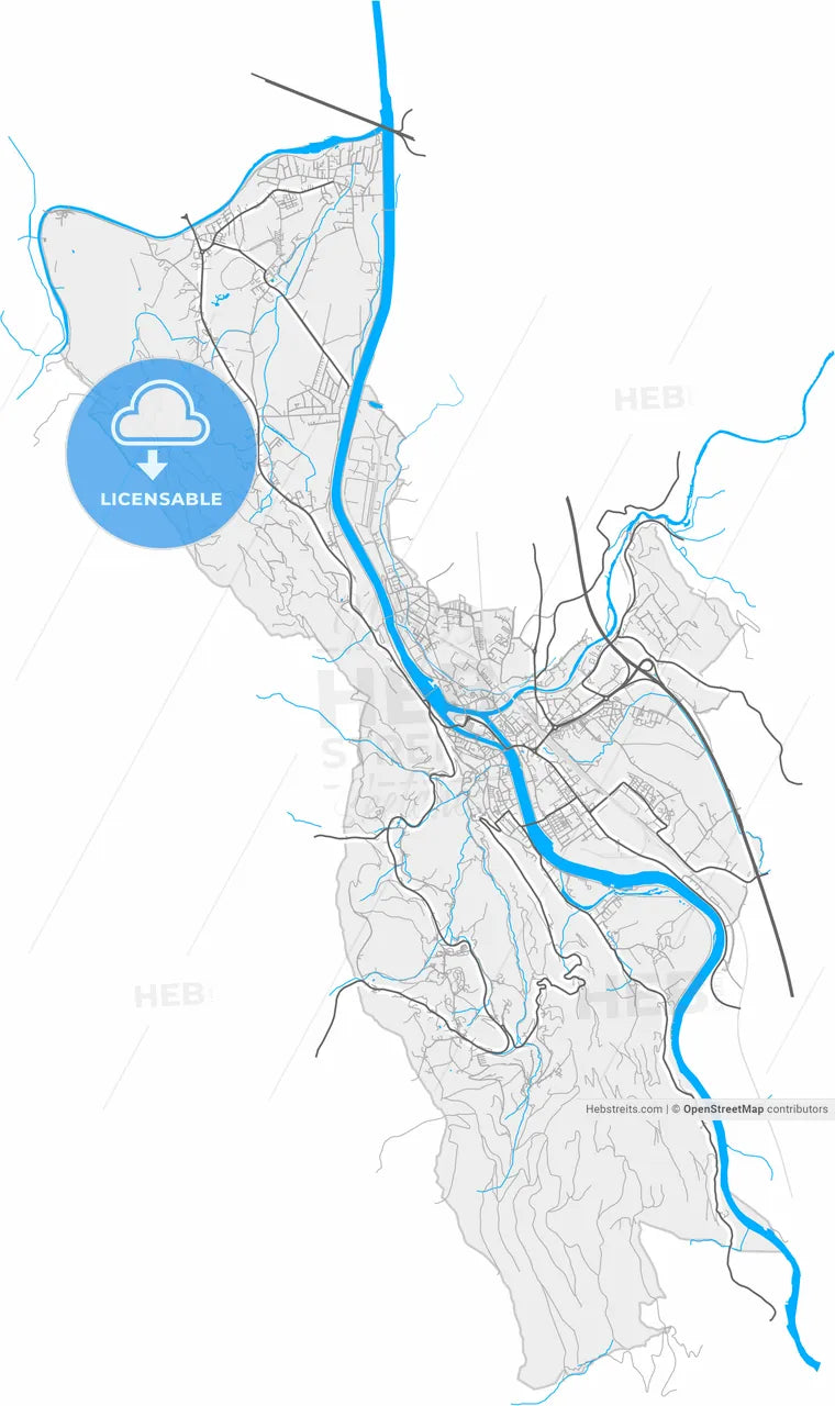 Hallein, Salzburg, Austria, high resolution vector map - Instant download PDF and JPG