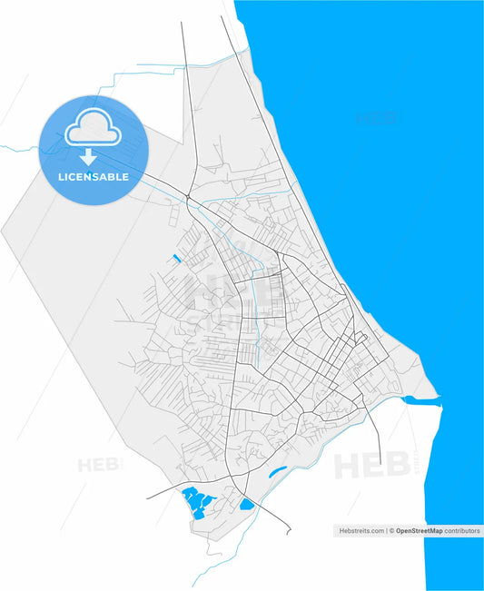 Lankaran, Azerbaijan, high resolution vector map - Instant download PDF and JPG