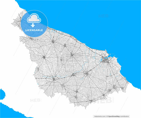 Brindisi, Apulia, Italy, high resolution vector map - Instant download PDF and JPG