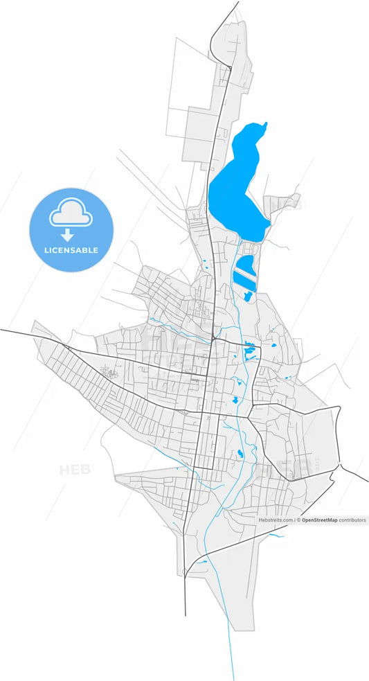Comrat, Gagauzia, Moldova, high resolution vector map - Instant download PDF and JPG
