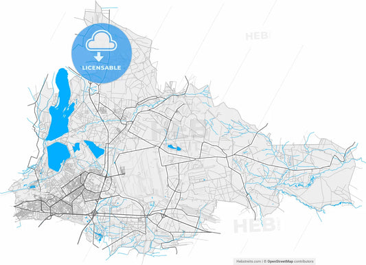Dąbrowa Górnicza, Silesian, Poland, high resolution vector map - Instant download PDF and JPG