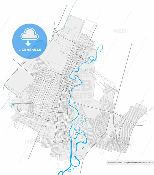 Rubtsovsk, Altai Krai, Russia, high resolution vector map - Instant download PDF and JPG