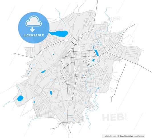 Alexandrov, Vladimir Oblast, Russia, high resolution vector map - Instant download PDF and JPG