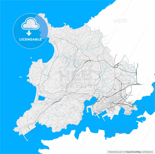 Ferrol, A Coruña, Spain, high resolution vector map - Instant download PDF and JPG
