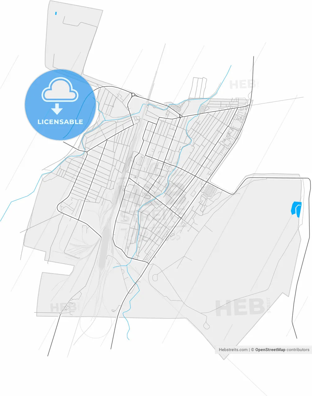 Dzhankoy, Crimea, Ukraine, high resolution vector map - Instant download PDF and JPG