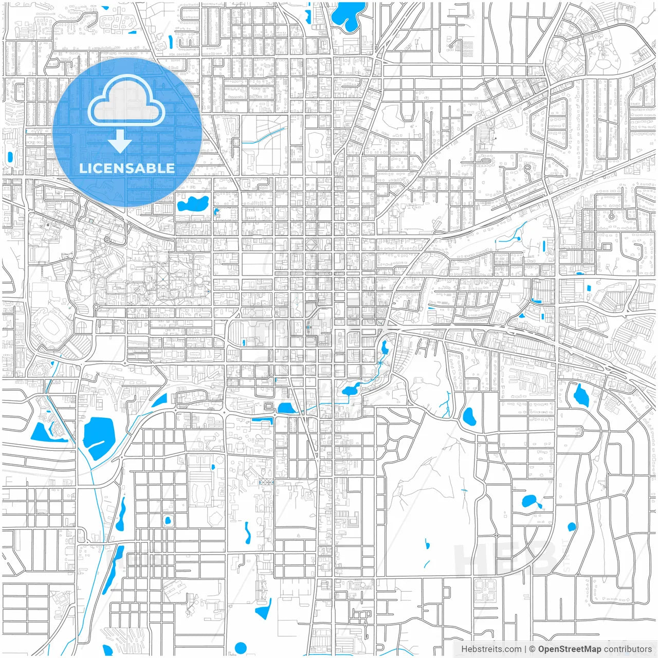 Tallahassee, Florida, United States, city map with high resolution roads.