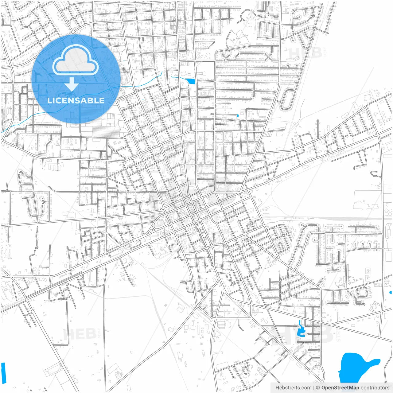 Valdosta, Georgia, United States, city map with high resolution roads.