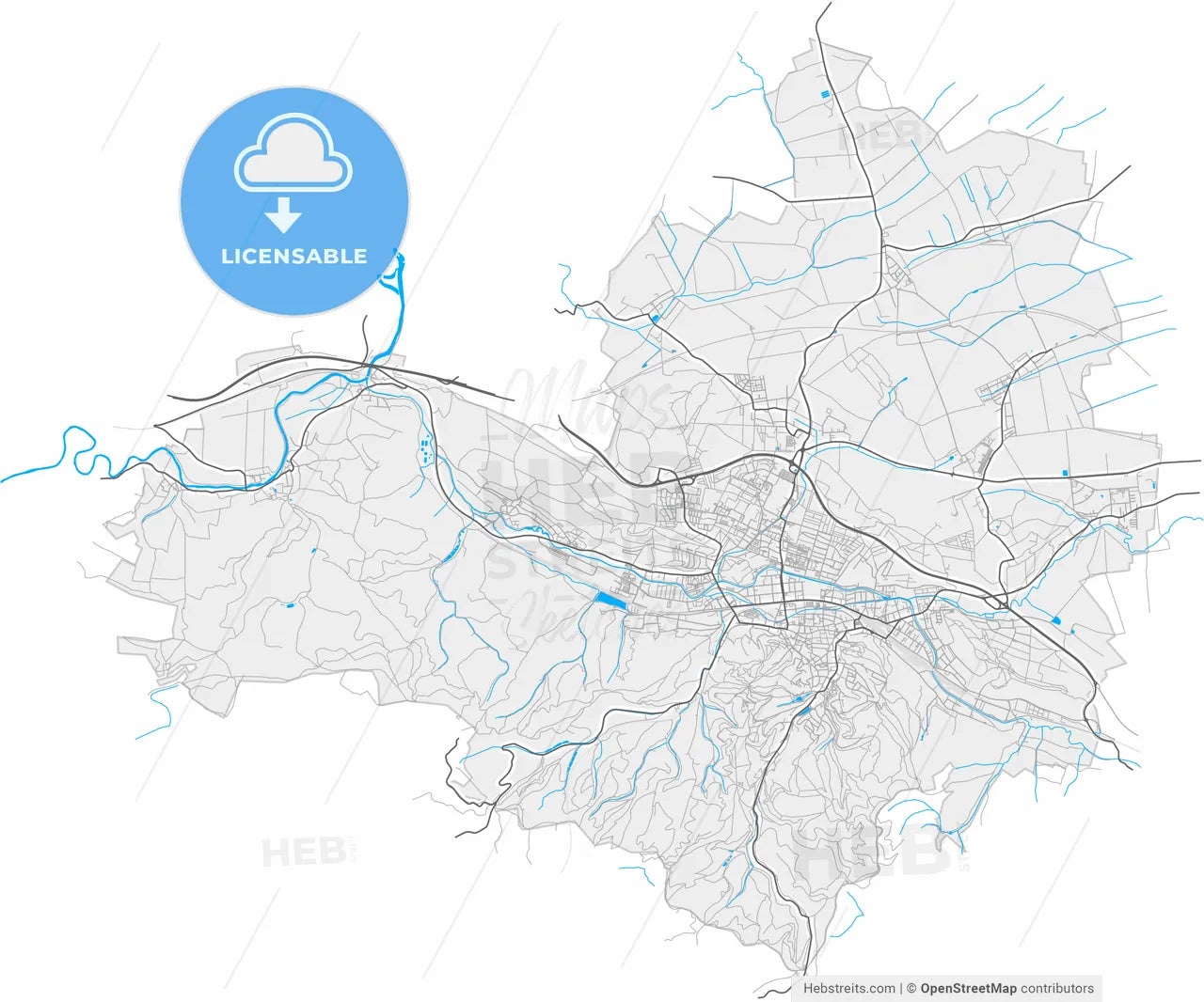 Eisenach, Thuringia, Germany, high resolution vector map - Instant download PDF and JPG