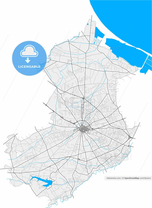 Cerignola, Apulia, Italy, high resolution vector map - Instant download PDF and JPG