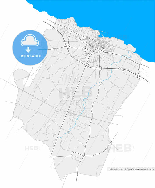Bisceglie, Apulia, Italy, high resolution vector map - Instant download PDF and JPG