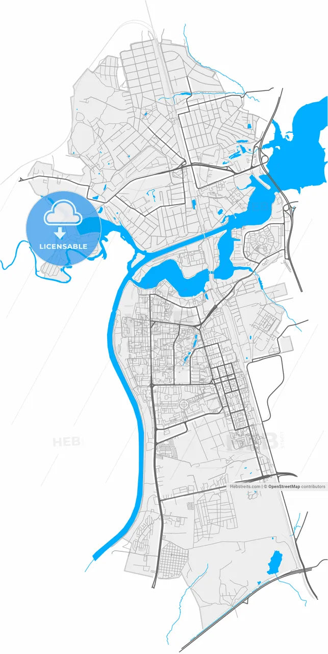 Dolgoprudny, Moscow Oblast, Russia, high resolution vector map - Instant download PDF and JPG