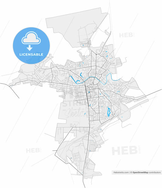 Nizhyn, Chernihiv Oblast, Ukraine, high resolution vector map - Instant download PDF and JPG