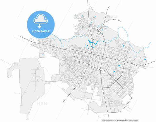 Pryluky, Chernihiv Oblast, Ukraine, high resolution vector map - Instant download PDF and JPG