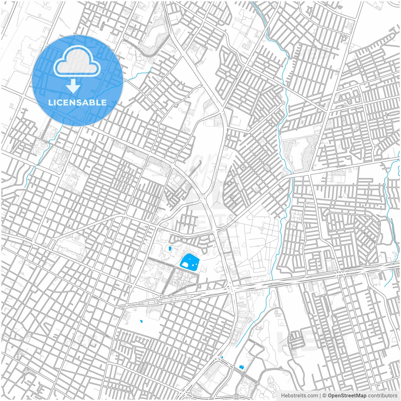 Saltillo, Coahuila, Mexico, city map with high resolution roads.